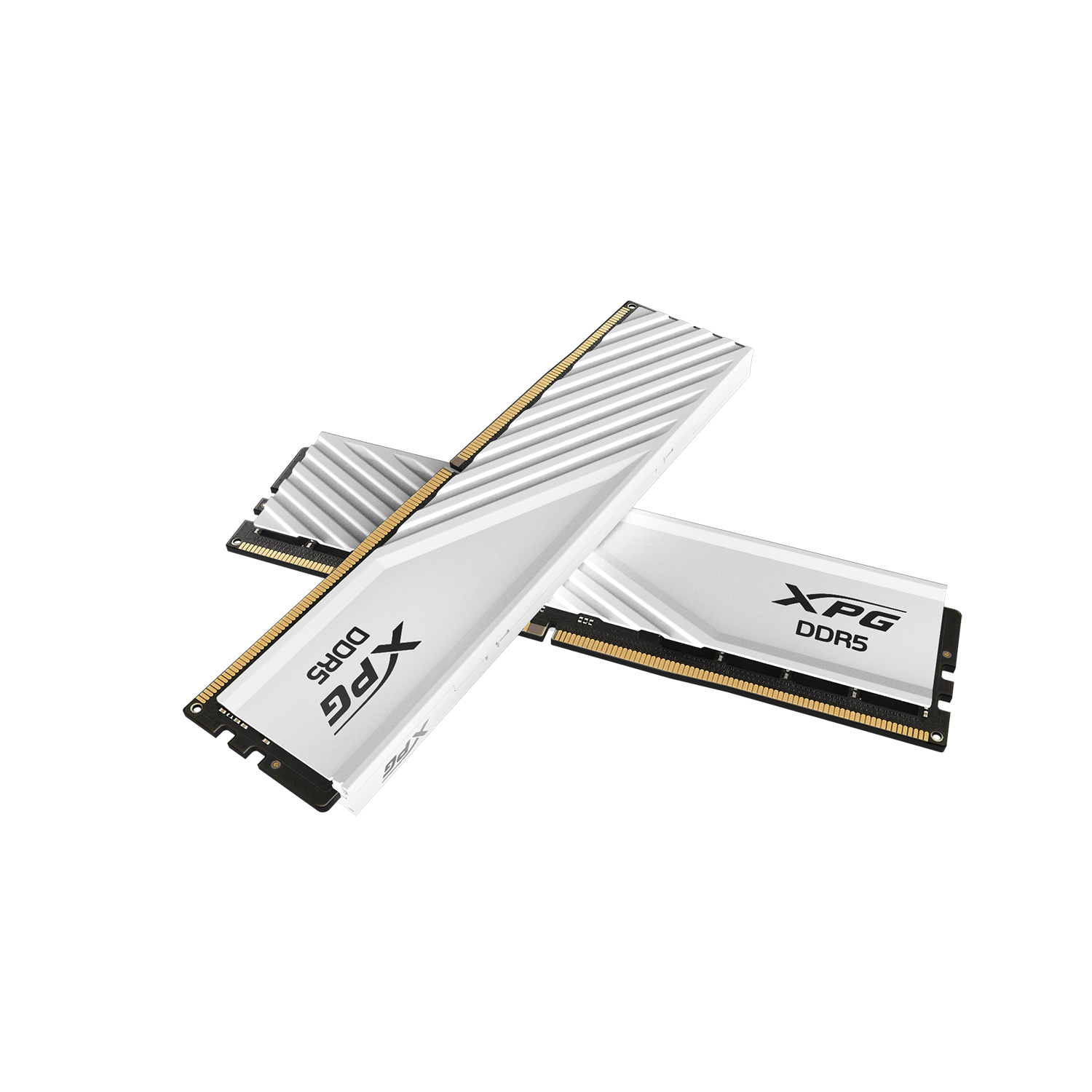 ADATA XPG Lancer RGB DDR5 (16X2GB/32X2GB) 有燈光 Memory