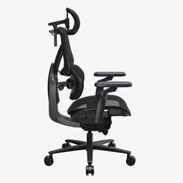 ThunderX3 FLEX Pro ERGONOMIC OFFICE CHAIR 辦公椅 MESH Black