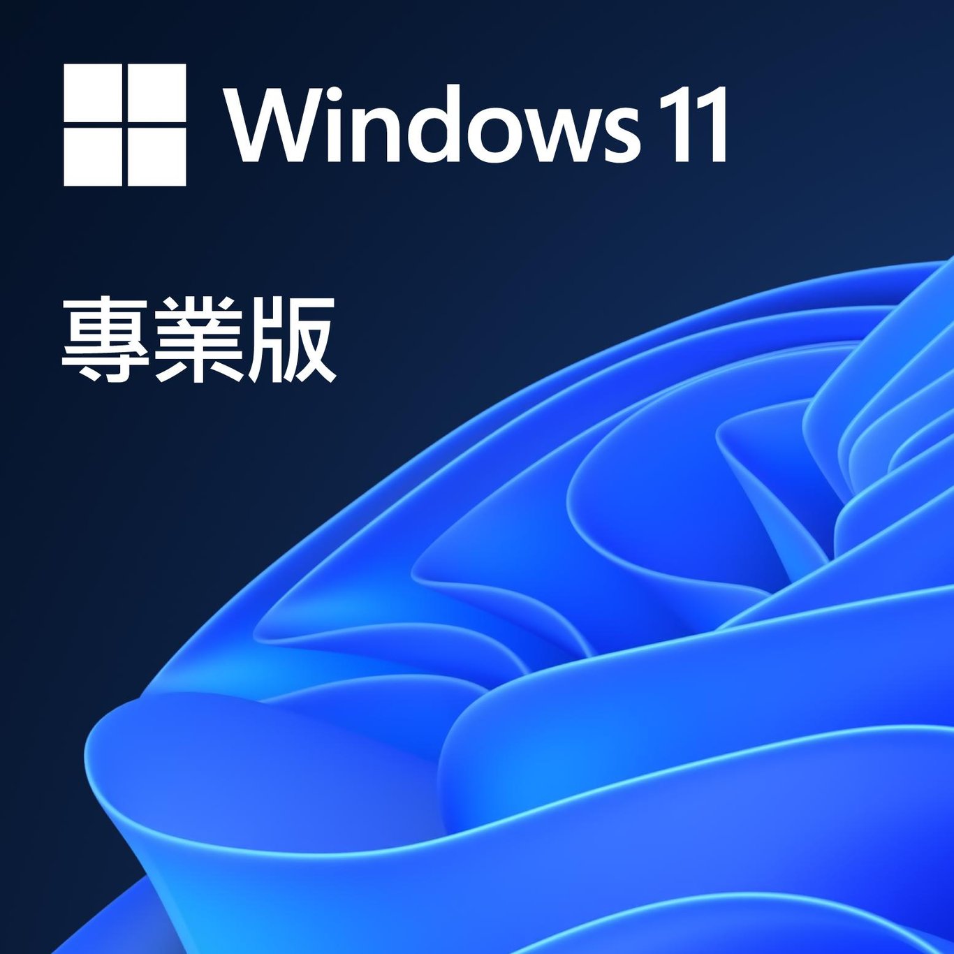 OEM Microsoft Windows 11 Pro (繁/簡/Eng)