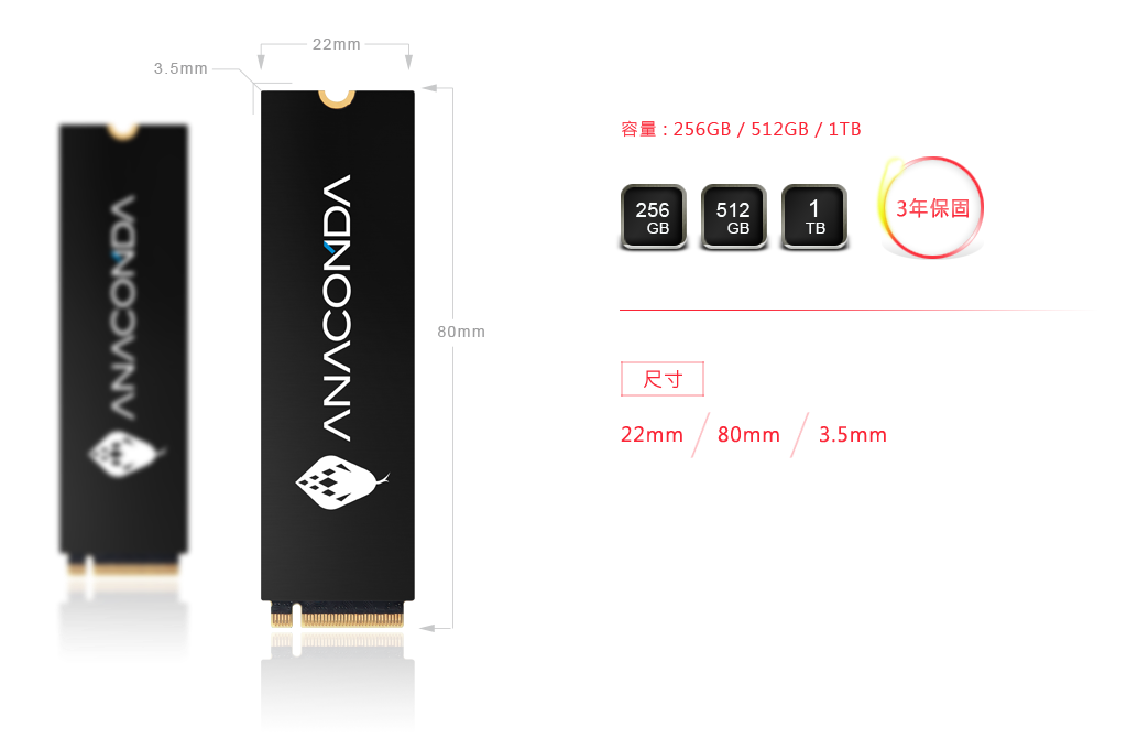 【情人节特惠】ANACOMDA i2 512/1TB M.2 NVMe PCIe 3.0 x4 SSD