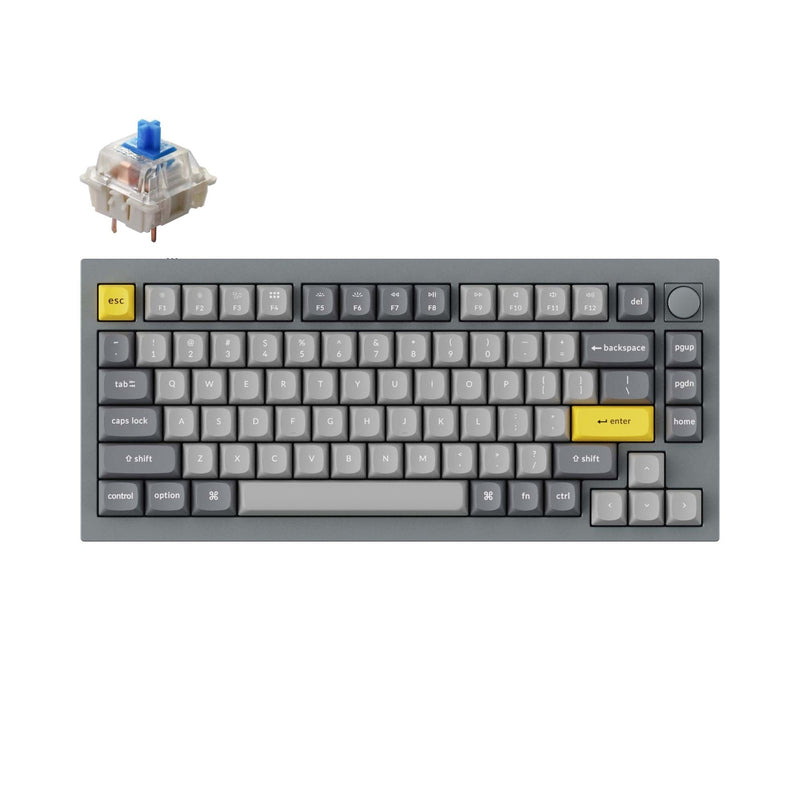 Keychron Q1 QMK Custom HotSwappable Gateron G Pro Switch Mechanical Ke